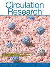 心血管顶刊标杆｜CIRCULATION RESEARCH 影响因子 16.2，2026 深度投稿指南