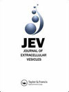 当影响因子从16跌至14.5，Journal of Extracellular Vesicles为何仍是细胞外囊泡研究的第一选择？