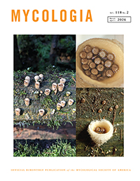 SCI论文可以引用新闻吗？引用规范与注意事项全解