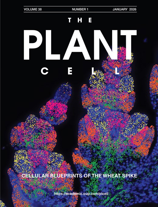 瞄准PLANT CELL投稿必看！植物学 SCI 论文撰写发表避坑指南