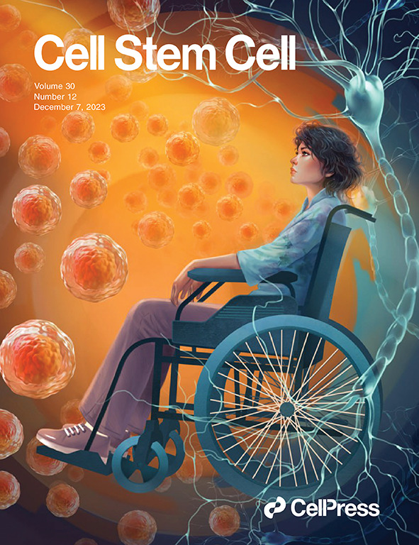 Cover Image - Cell Stem Cell, Volume 30, Issue 12