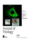 病毒学老牌权威刊：Journal of Virology 影响因子 4 分，稳定靠谱、国人友好全解析