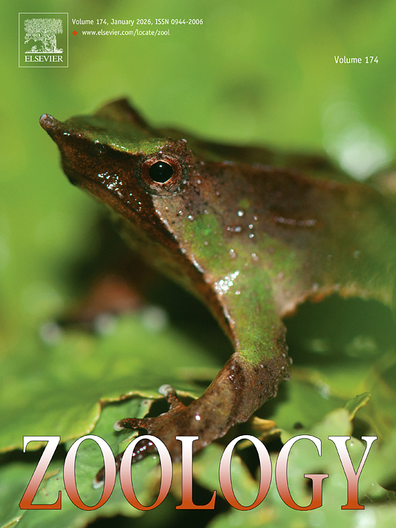 SCI一区和二区有什么区别?核心差异全解析