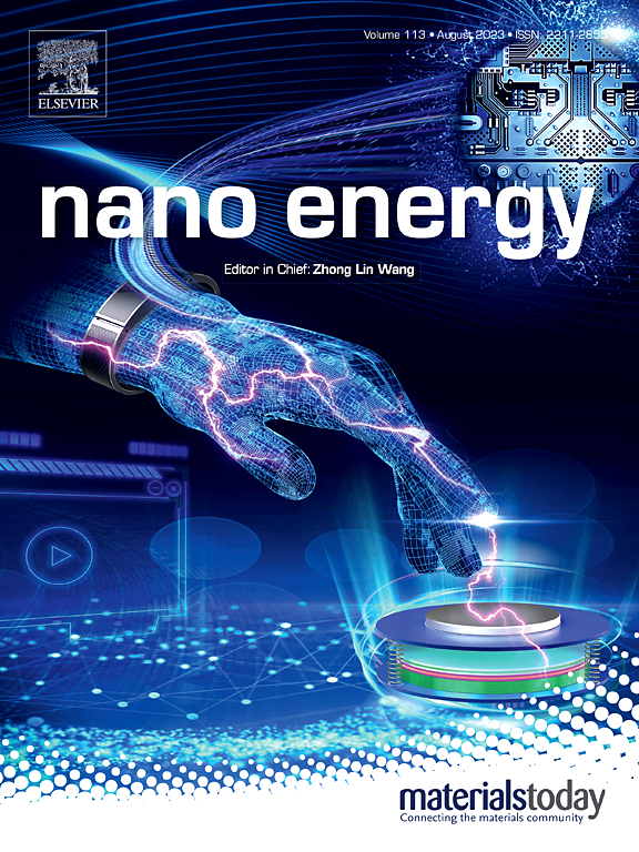 Nano Energy怎么样