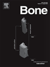 3.6分JCR Q2，国人投稿的潜力股：BONE期刊版面费3830美元，骨骼研究的跨学科枢纽