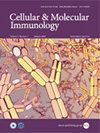 国产免疫顶刊｜Cellular & Molecular Immunology 影响因子 19.8，2026 权威投稿解析