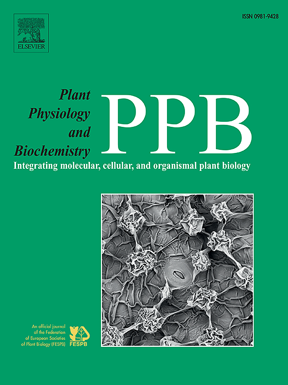 SCI论文审稿人提了返修意见 怎么改更容易过