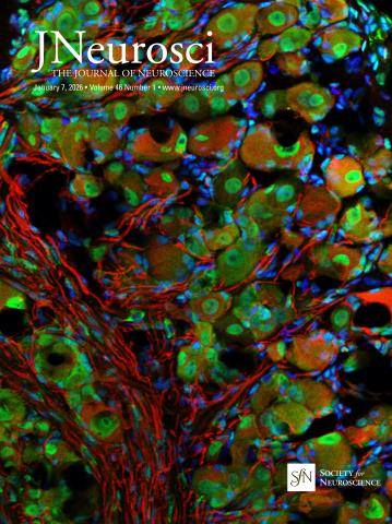从数据库视角看期刊：神经科学领域SCI与EI收录期刊的交叉与区别
