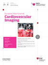 牛津社出版的 ESC 心血管影像旗舰 European Heart Journal-Cardiovascular Imaging｜IF 6.1、中科院 1 区及混合 OA 约 €4,604 版面费实录
