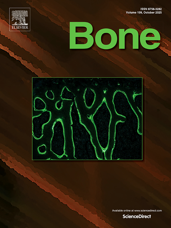 BONE期刊封面