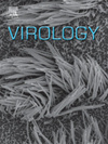 70年老刊VIROLOGY现状：影响因子2.4，版面费3160美元，病毒学领域还值得投吗？