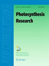 PHOTOSYNTHESIS RESEARCH怎么样
