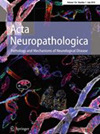 三学科全球前 10 + 零撤稿：Acta Neuropathologica 2026 神经病理顶刊全解析
