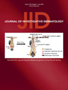 百年深耕皮肤科学——JOURNAL OF INVESTIGATIVE DERMATOLOGY如何以5.7分影响因子定义皮肤病学的机制研究标准