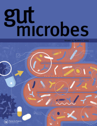 Gut Microbes SCI 投稿 重复内容位置要求及查重自查技巧