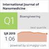 International Journal of Nanomedicine容易中吗