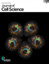 JOURNAL OF CELL SCIENCE发表难不难