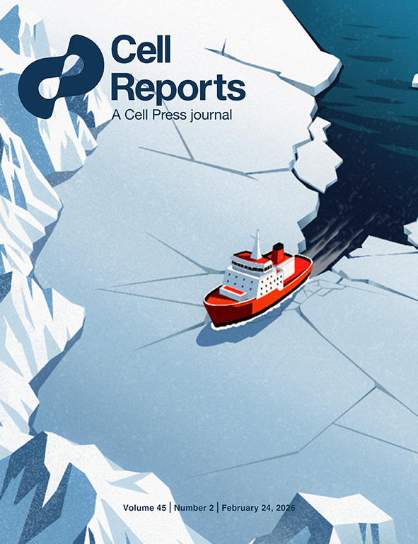 SCI论文发表全流程解析：核心节点+各阶段任务指南