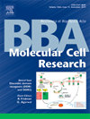 BIOCHIMICA ET BIOPHYSICA ACTA-MOLECULAR CELL RESEARCH怎么样