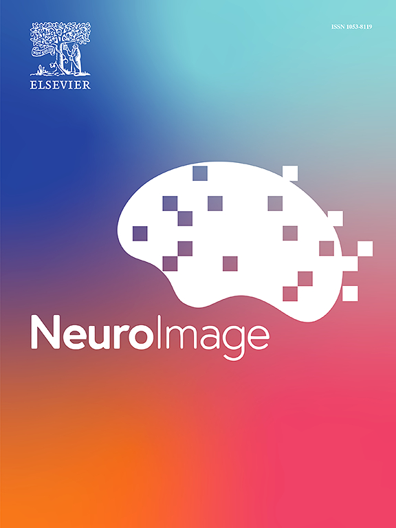 NeuroImage 特刊征稿|神经影像学中的人工智能伦理 医学二区Top期刊