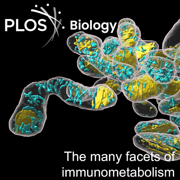SCI论文小修全攻略：轻松通关技巧 + 避坑指南