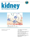 肾病学顶刊之巅:Kidney International 定义全球肾脏疾病研究范式